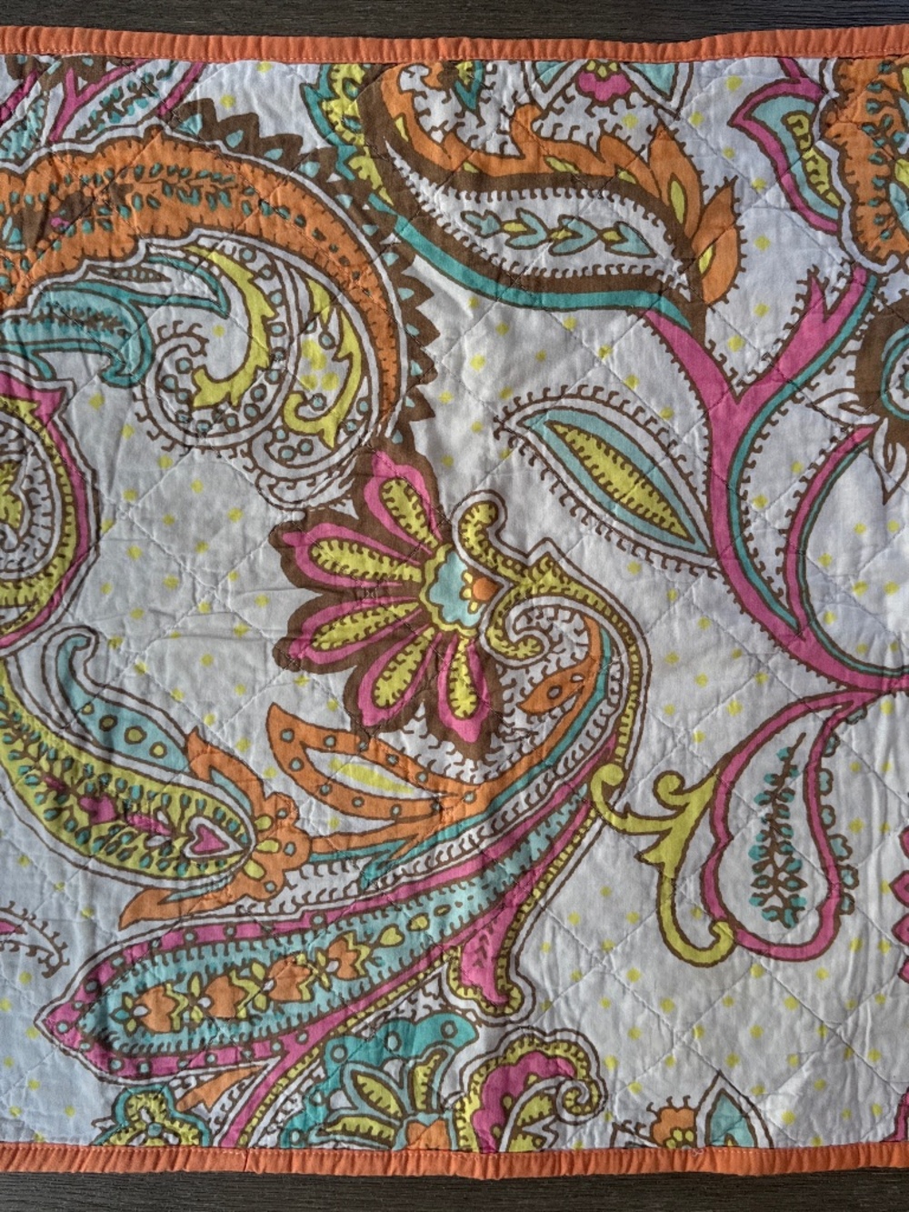EUC Xhilaration Quilted Sham set of 2